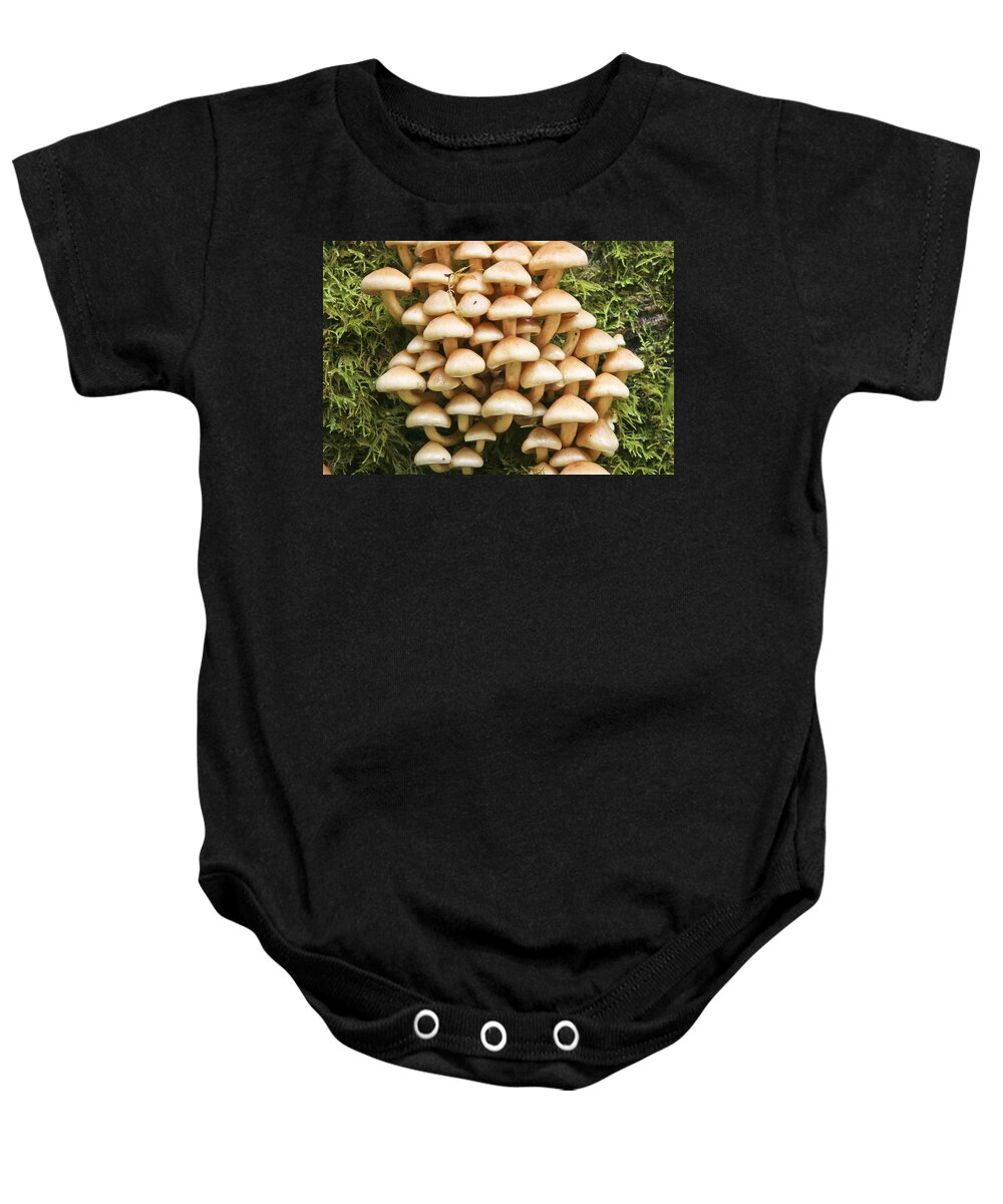 Mushrooms Baby Onesie featuring the photograph Mushroom Condo by Albert Seger