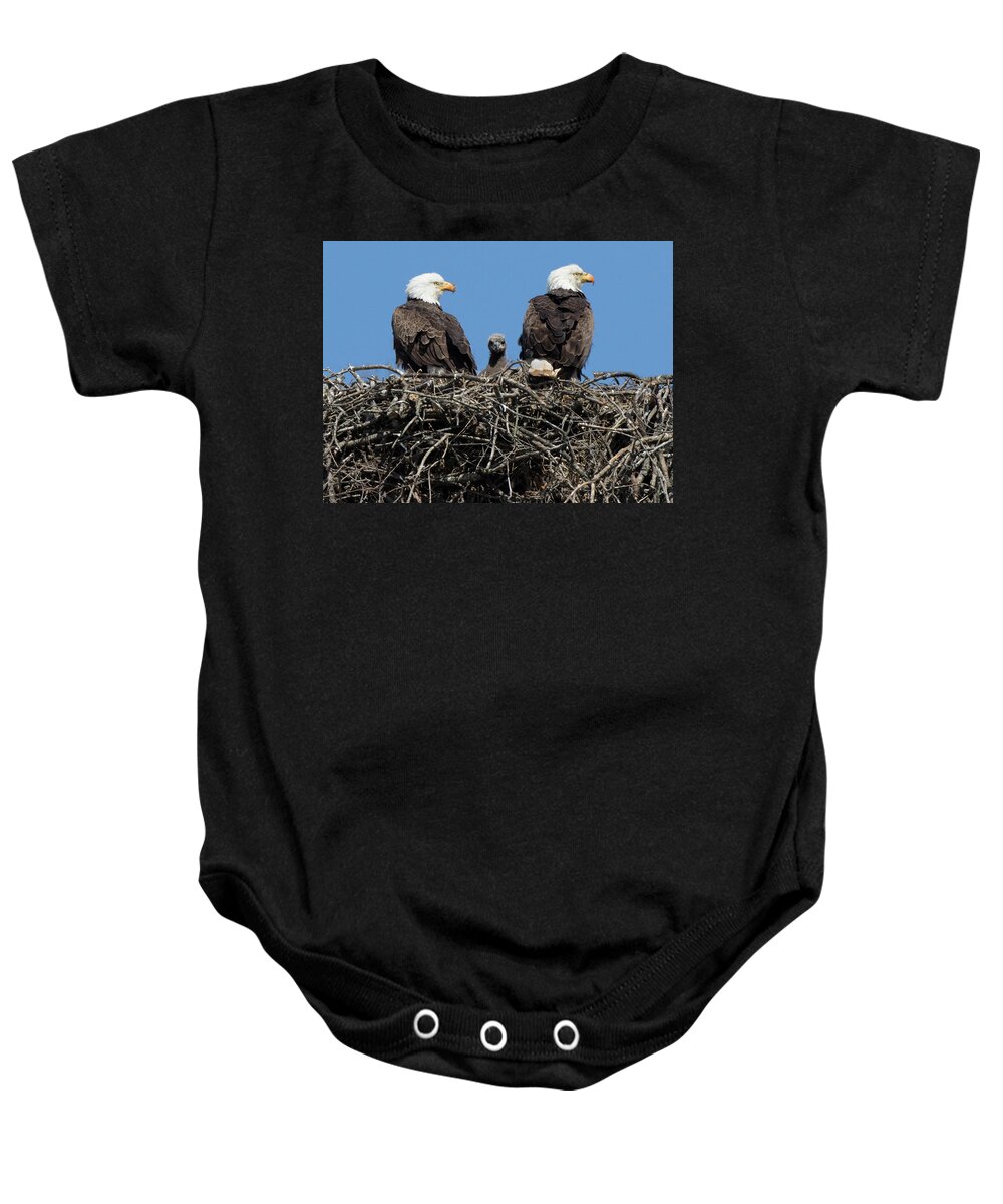 Eagle Nest Baby Onesie featuring the photograph Nest Trio by Art Cole