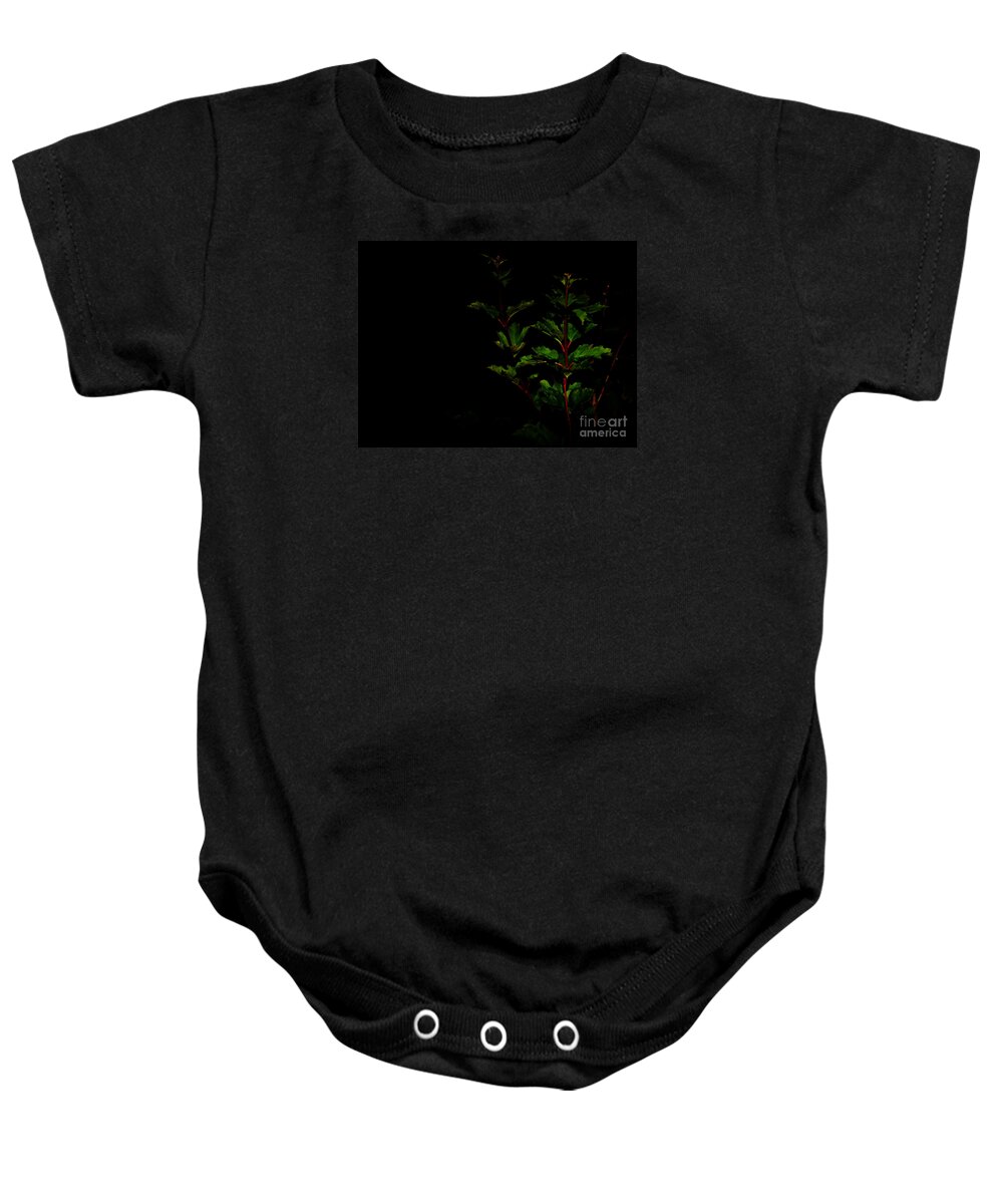 Plant Baby Onesie featuring the photograph Night Garden by Linda Shafer