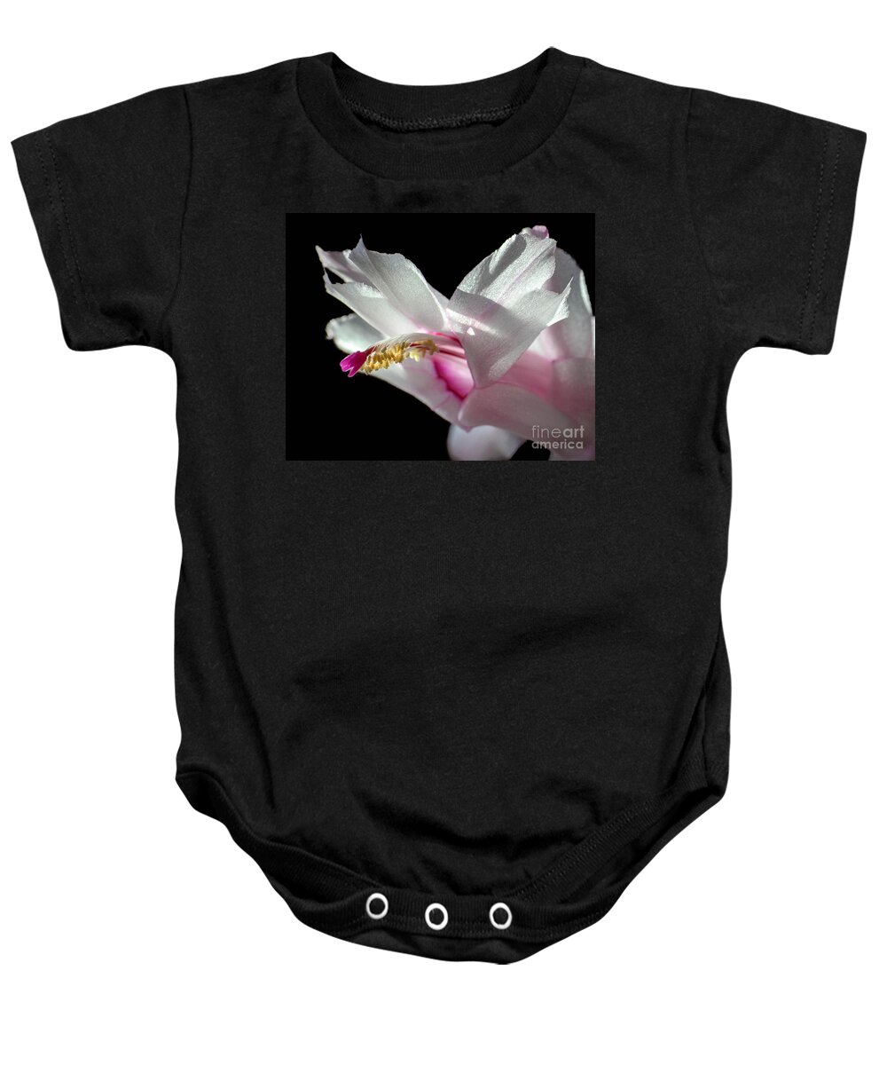 Thanksgiving Cactus Baby Onesie featuring the photograph November Splendor by Amy Porter