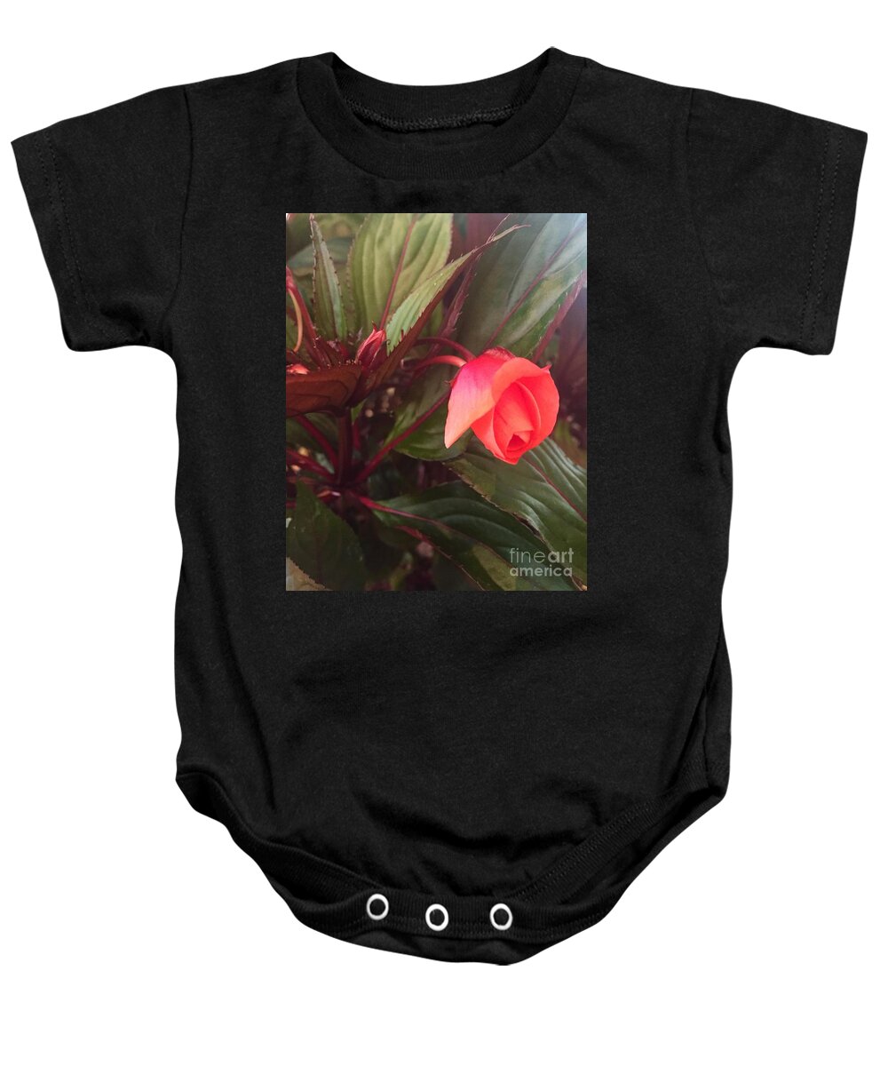 New Guinea Impatient Baby Onesie featuring the photograph Oh My by Barbara Plattenburg