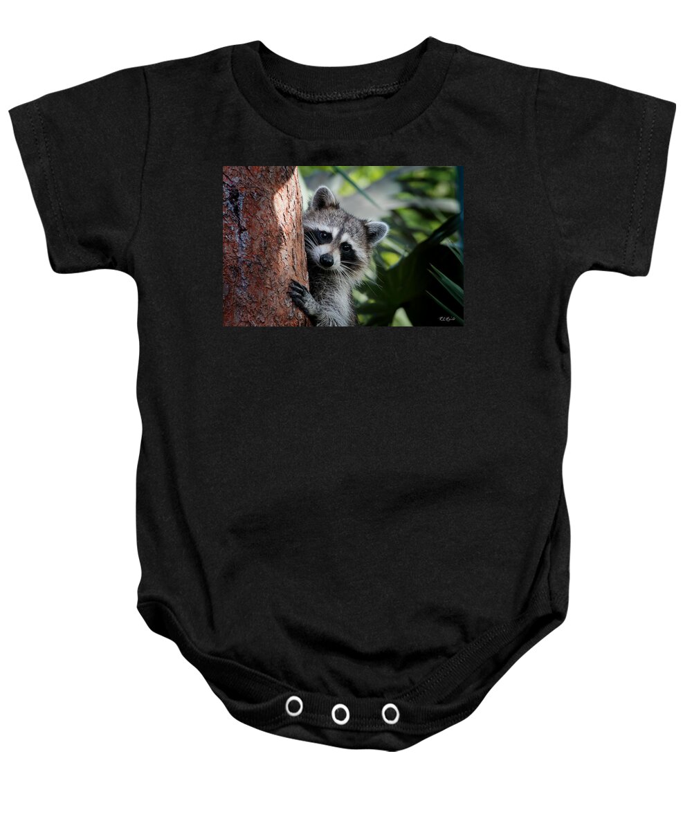 Florida Baby Onesie featuring the photograph Okeeheelee Nature Center - Bandit the Raccoon - Getting a better View by Ronald Reid