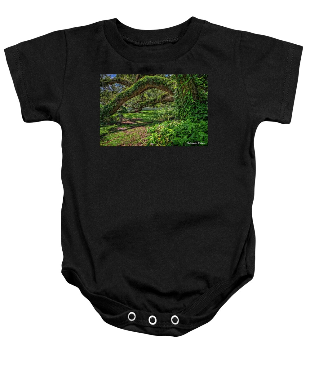 Lady Lake Baby Onesie featuring the photograph Old Oak by Christopher Holmes
