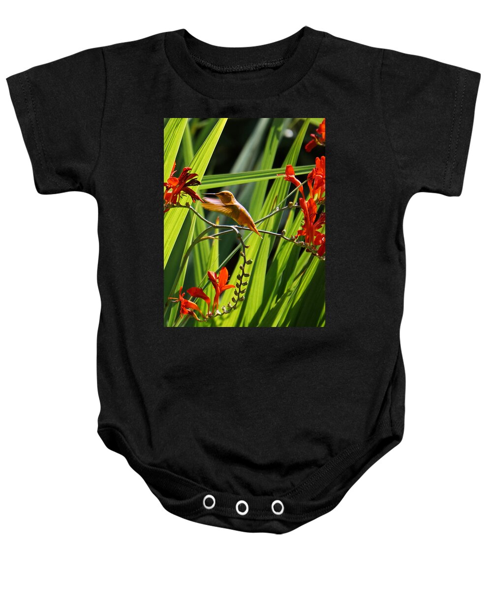 Humming Bird Baby Onesie featuring the photograph On a Mission by Wayne Enslow