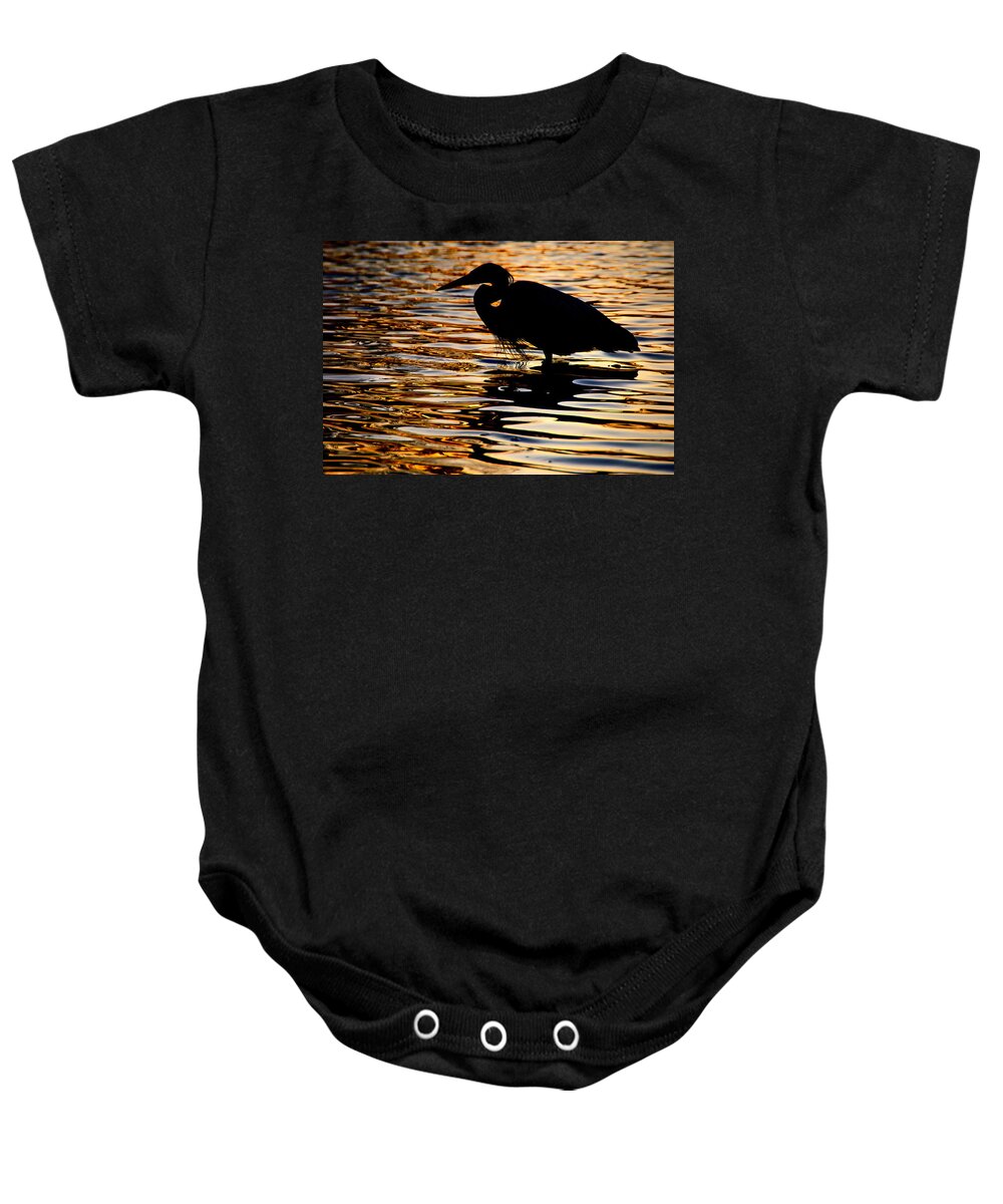 Birds Baby Onesie featuring the photograph On Golden Pond by Neil Shapiro