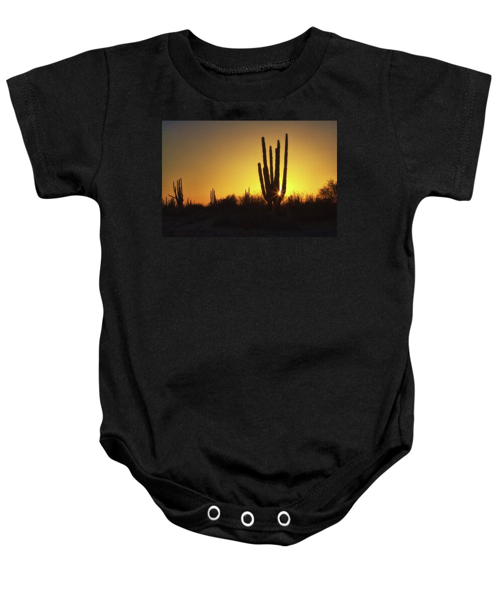 Organ Pipe Baby Onesie featuring the photograph Organ Pipe cactus by Tatiana Travelways