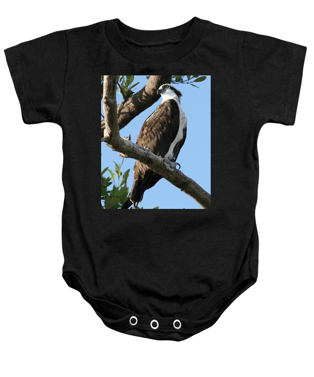 Osprey Baby Onesie featuring the photograph Osprey - perched by Jerry Battle