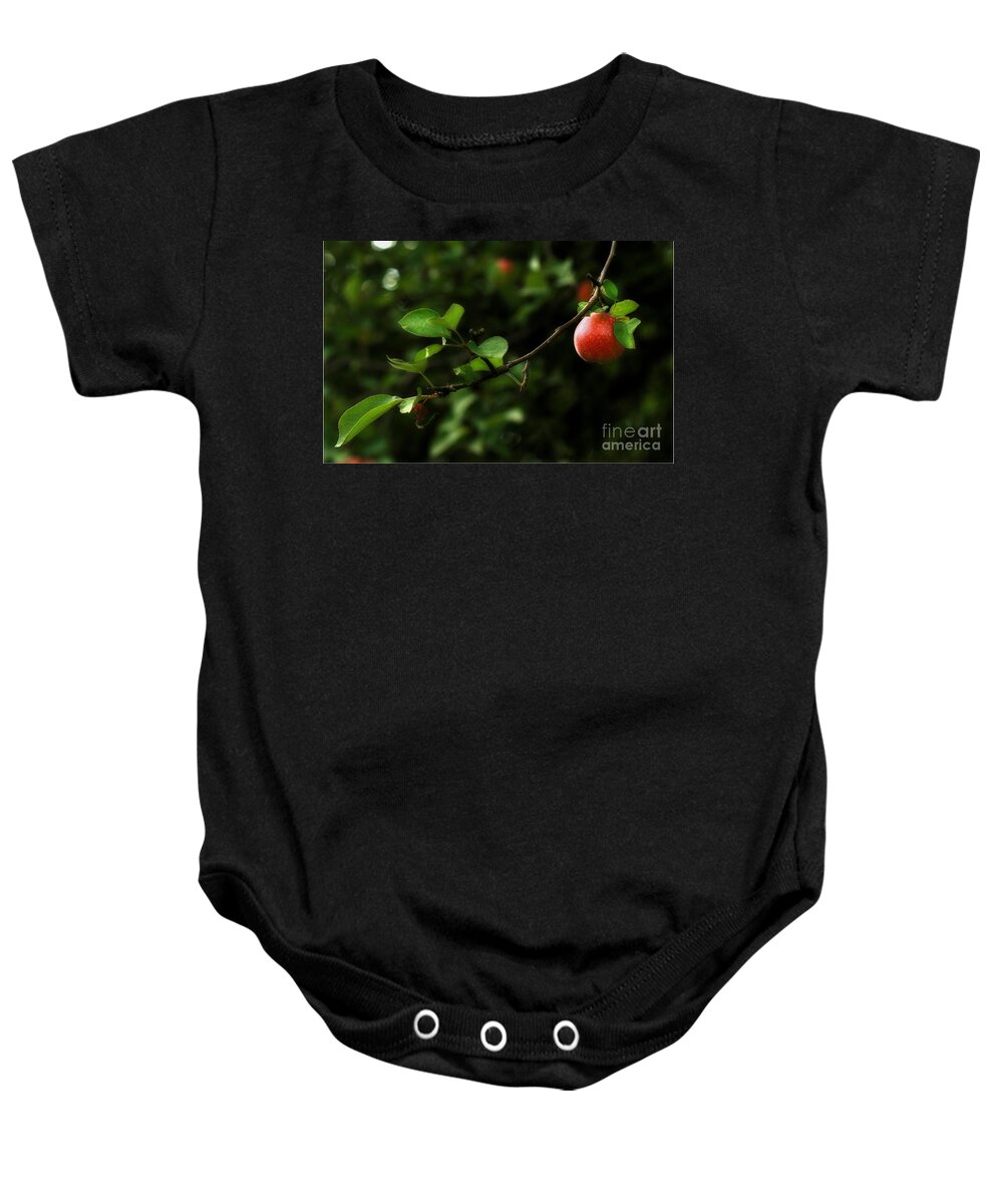 Adam And Eve Baby Onesie featuring the photograph Out on a Limb A Tempting Photograph of a Tasty Ripe Red Apple On A Tree by Angela Rath