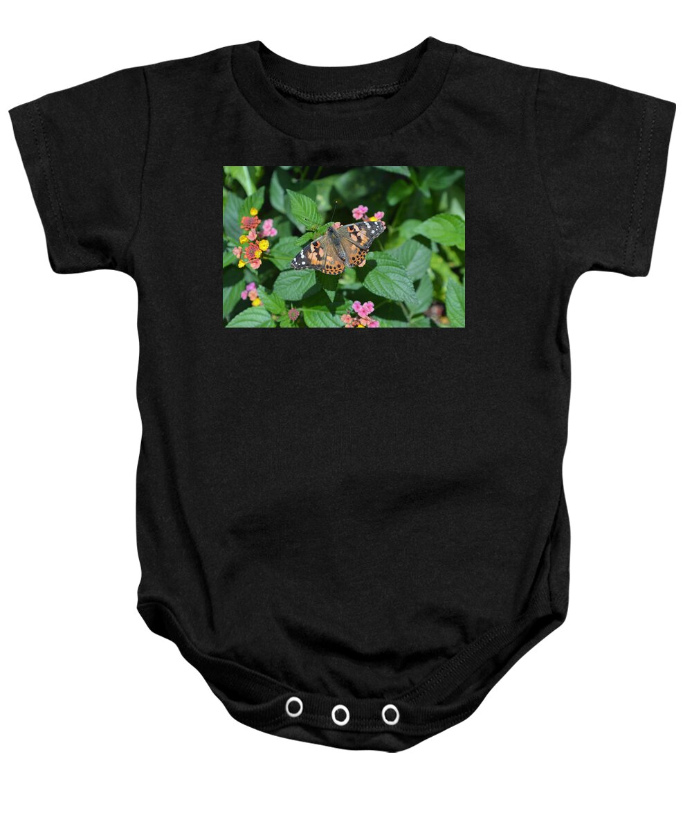 Butterfly Baby Onesie featuring the photograph Painted Lady Butterfly by Aimee L Maher ALM GALLERY