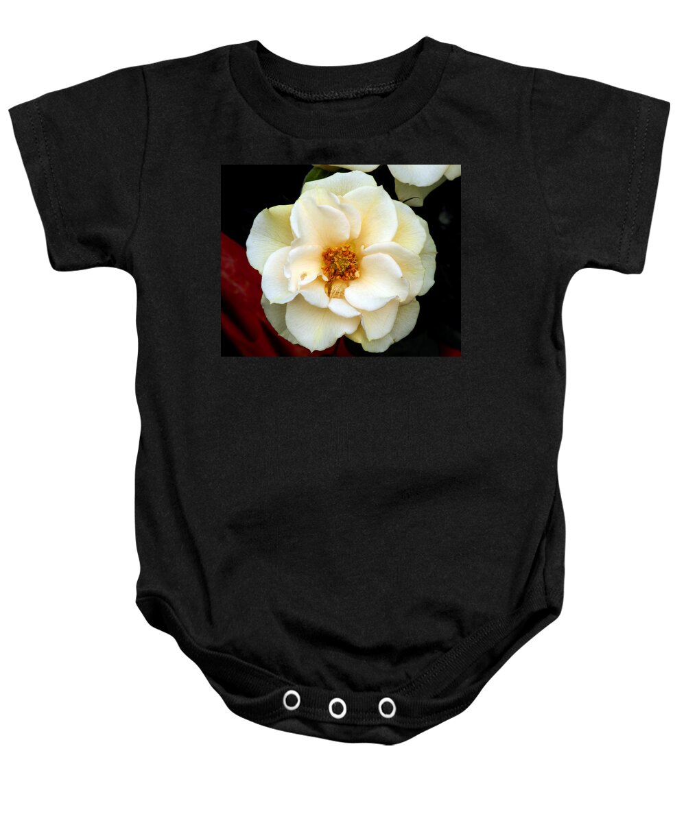 Pale Baby Onesie featuring the photograph Pale Beauty by Lynda Lehmann