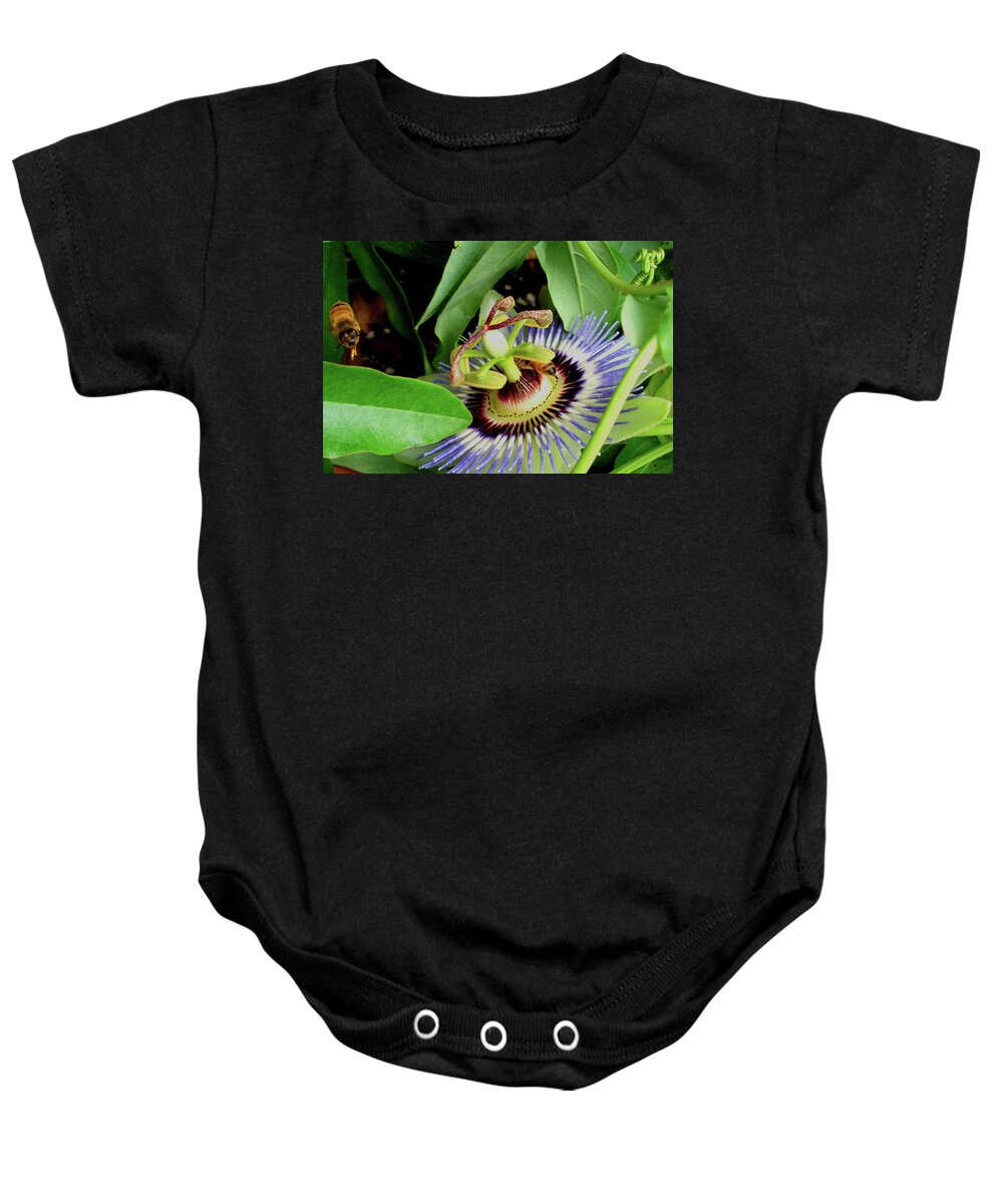 Passion Flower Baby Onesie featuring the photograph Passion Flower by Allen Nice-Webb