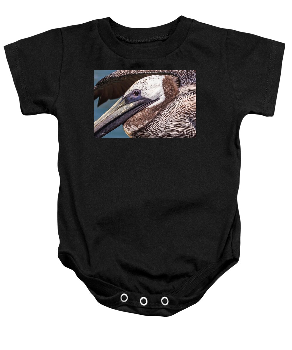 Florida Baby Onesie featuring the photograph Pelican Detail by Paul Schultz