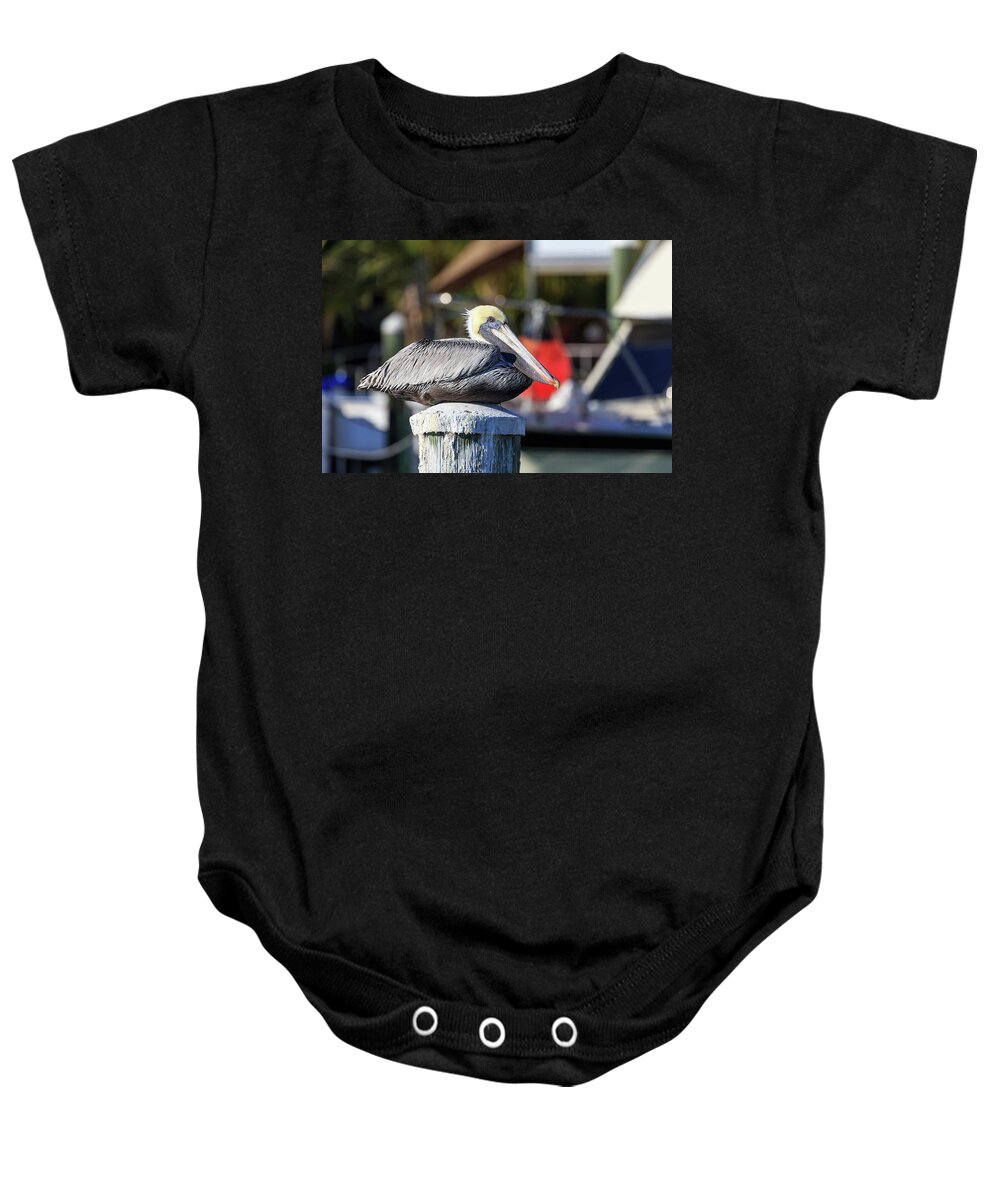 Florida Baby Onesie featuring the photograph Pelican by Paul Schultz