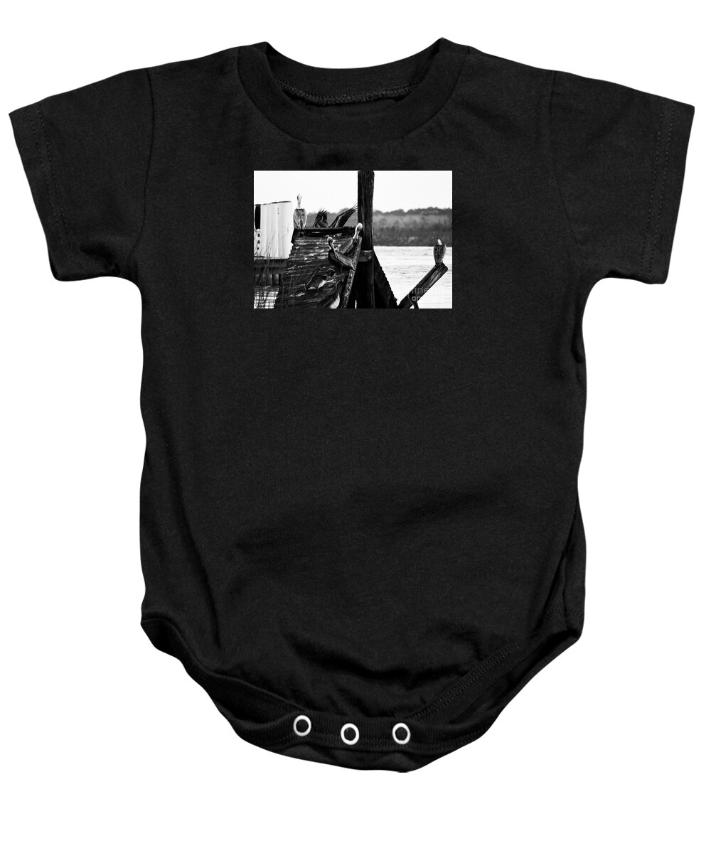 Apalachicola Baby Onesie featuring the photograph Pelicans by Alys Caviness-Gober