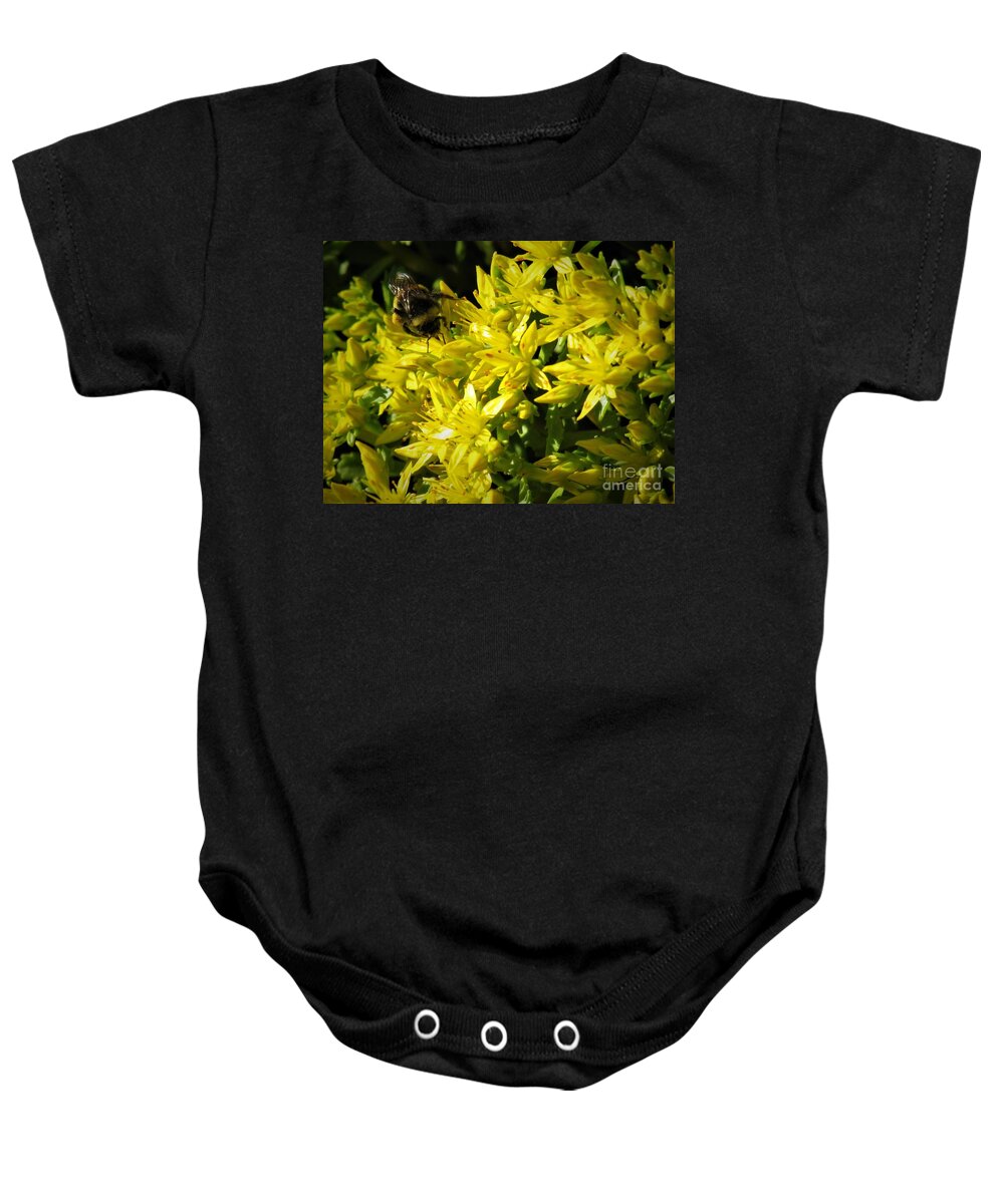 Photograph Baby Onesie featuring the photograph Photograph of a Bee on Yellow Flowers by Delynn Addams