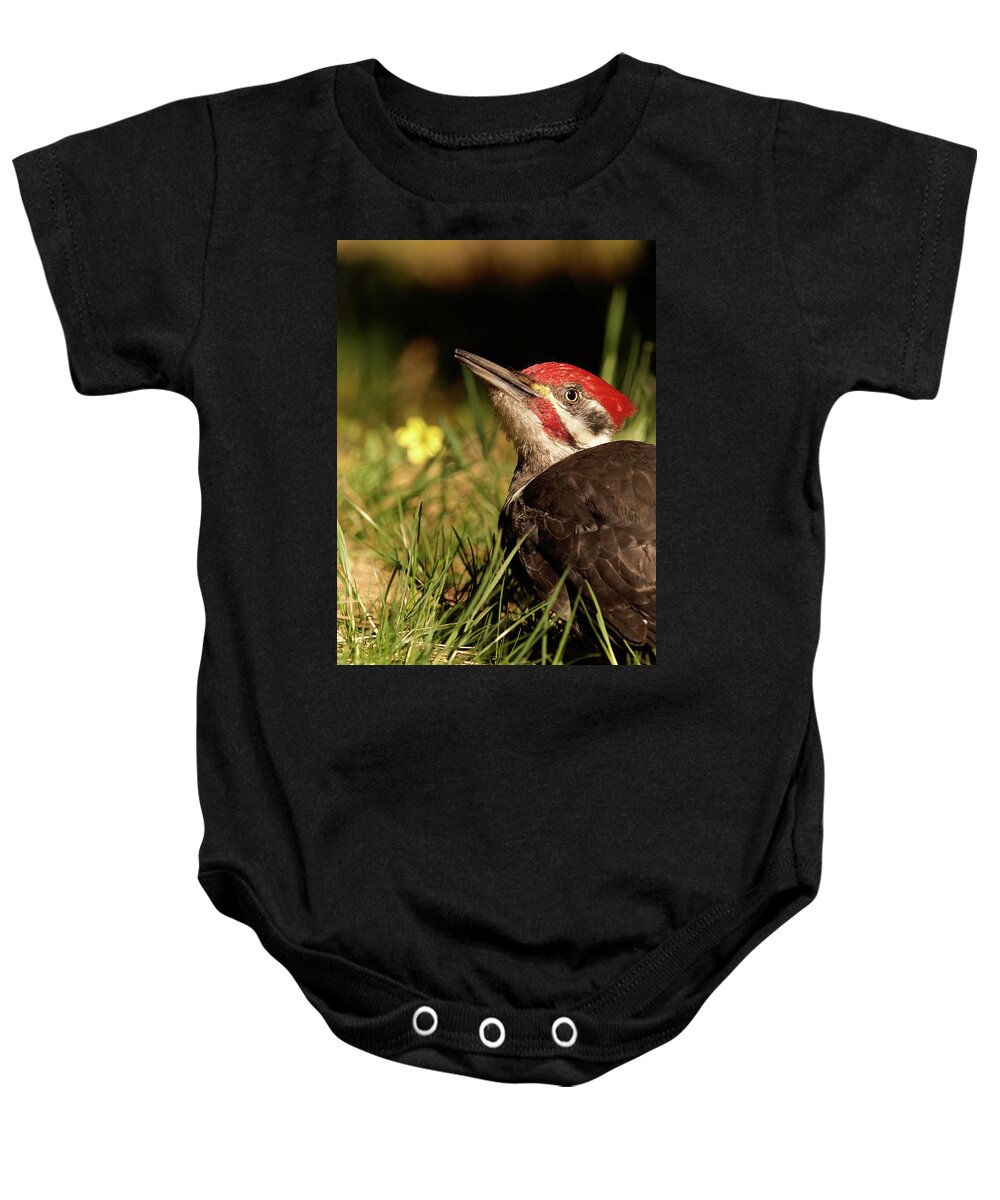 Bird Baby Onesie featuring the photograph Pileated Woodpecker by Loni Collins