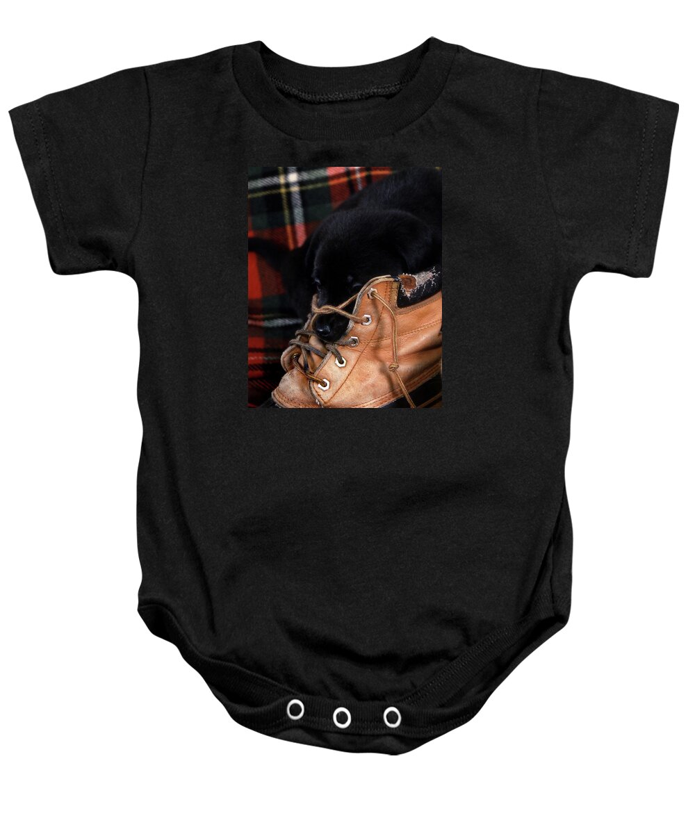 Plaid Baby Onesie featuring the photograph Pillow by Skip Willits