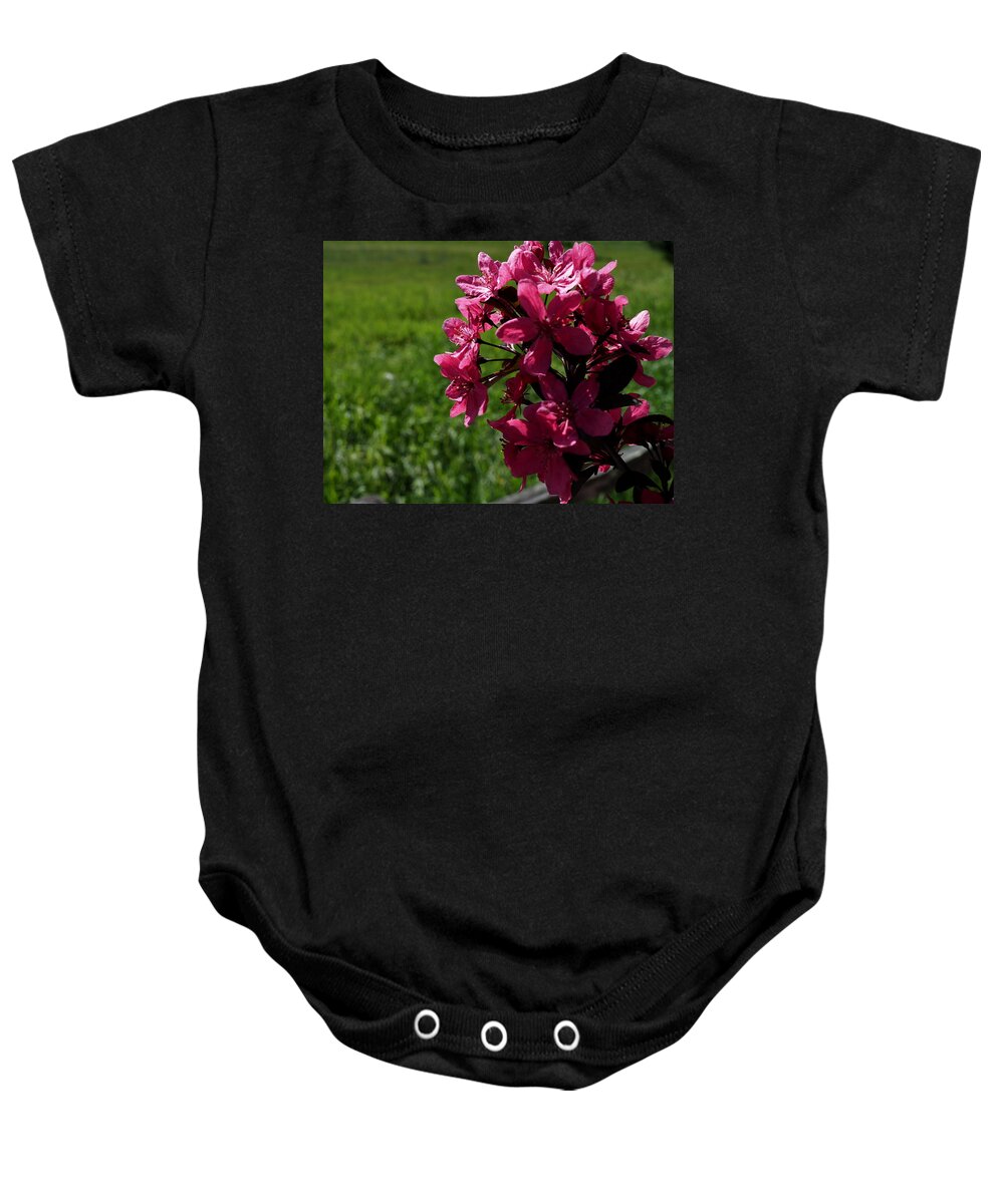 Botanical Baby Onesie featuring the photograph Pink Bloomers Green Field by Richard Thomas