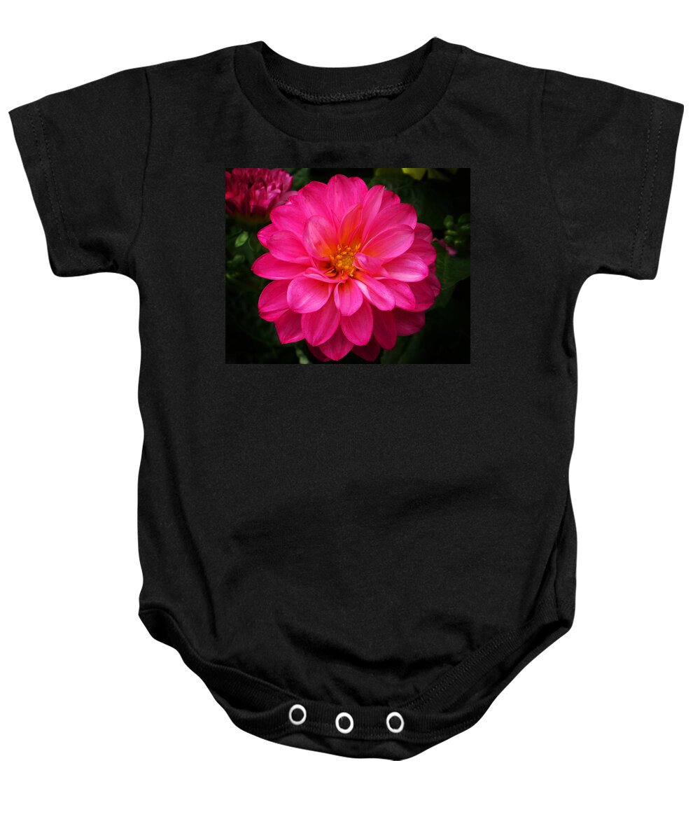 Flower Baby Onesie featuring the photograph Pink Flower by Anthony Jones