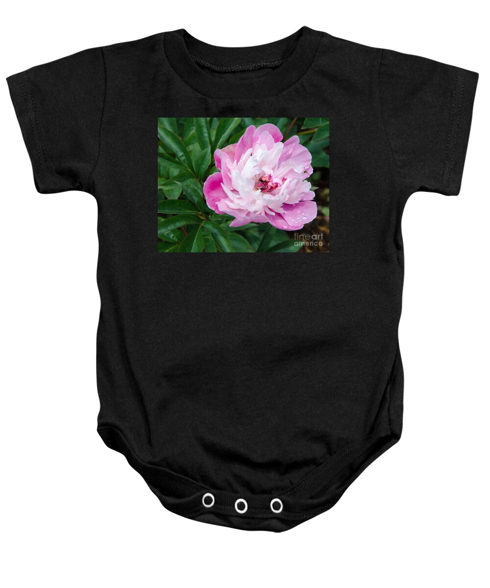 Pink Baby Onesie featuring the painting Pink Peony by Laurel Best