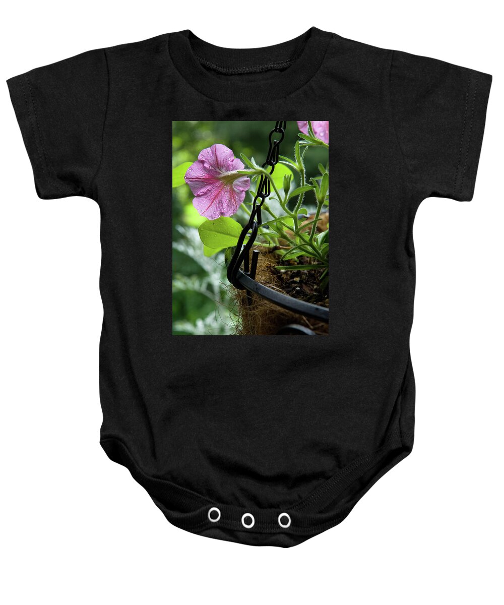 Balcony Garden Baby Onesie featuring the photograph Pink Petunia and Hanging Basket, Hunter Hill, Hagerstown, Maryla by James Oppenheim