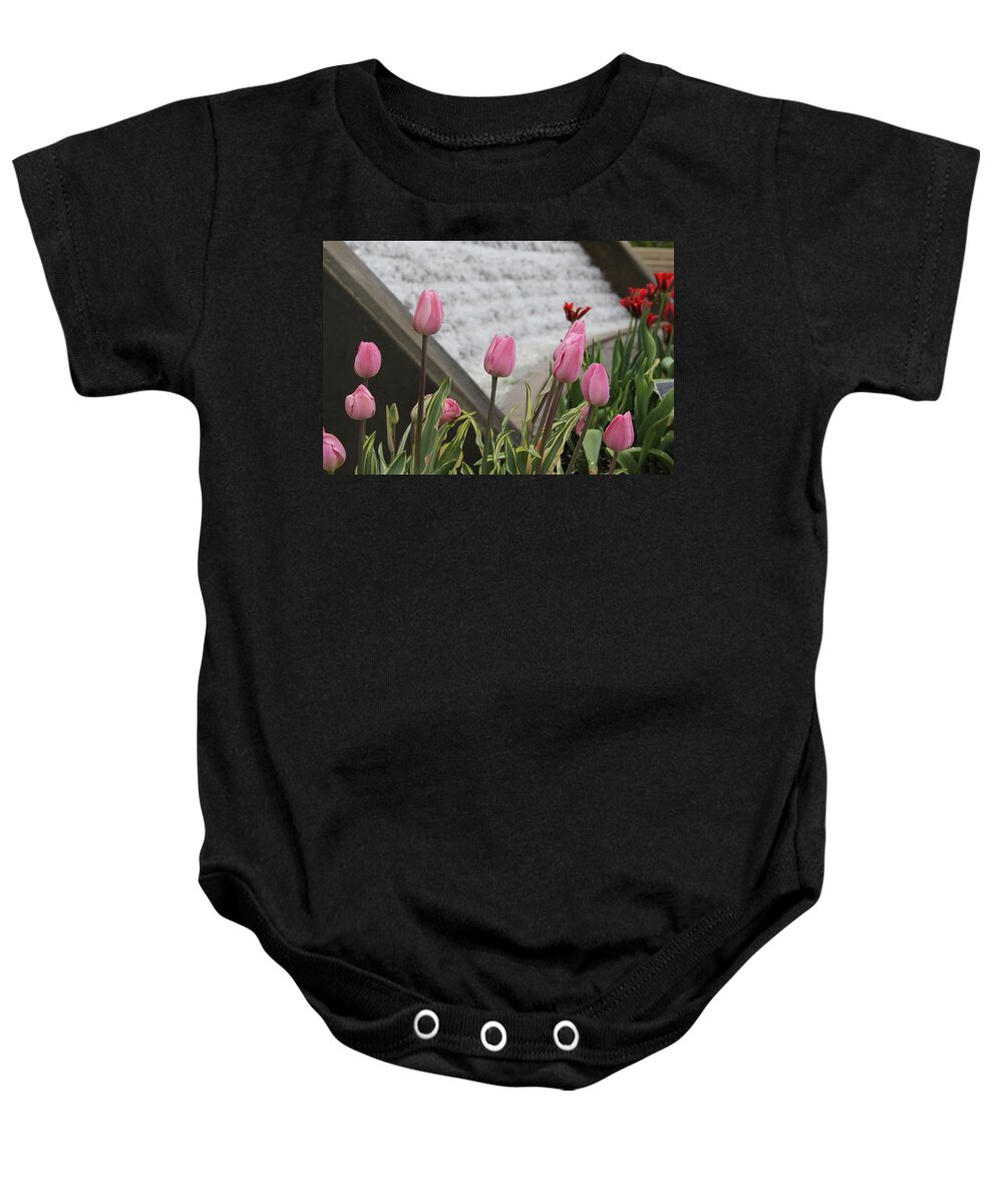 Tulips Baby Onesie featuring the photograph Pink Tulips by Allen Nice-Webb
