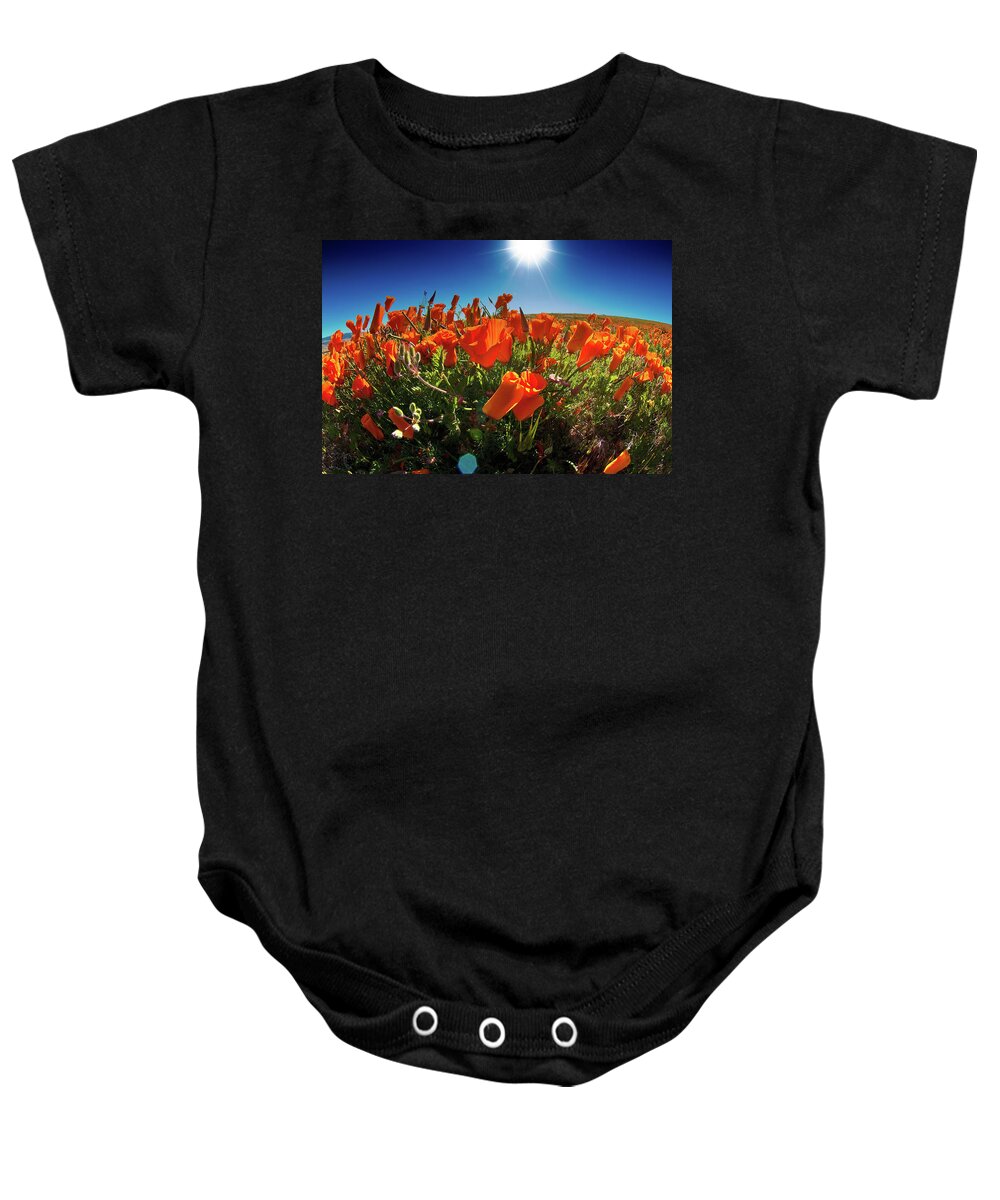 Poppies Baby Onesie featuring the photograph Poppies by Harry Spitz