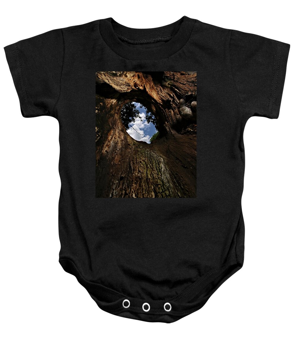 Tree Baby Onesie featuring the photograph Portal by Neil Shapiro