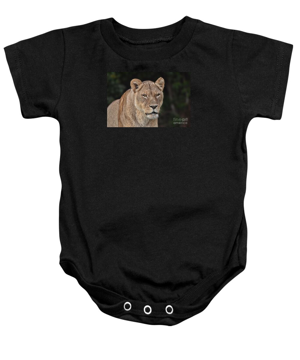 Lion Baby Onesie featuring the photograph Portrait of a Lioness II by Jim Fitzpatrick
