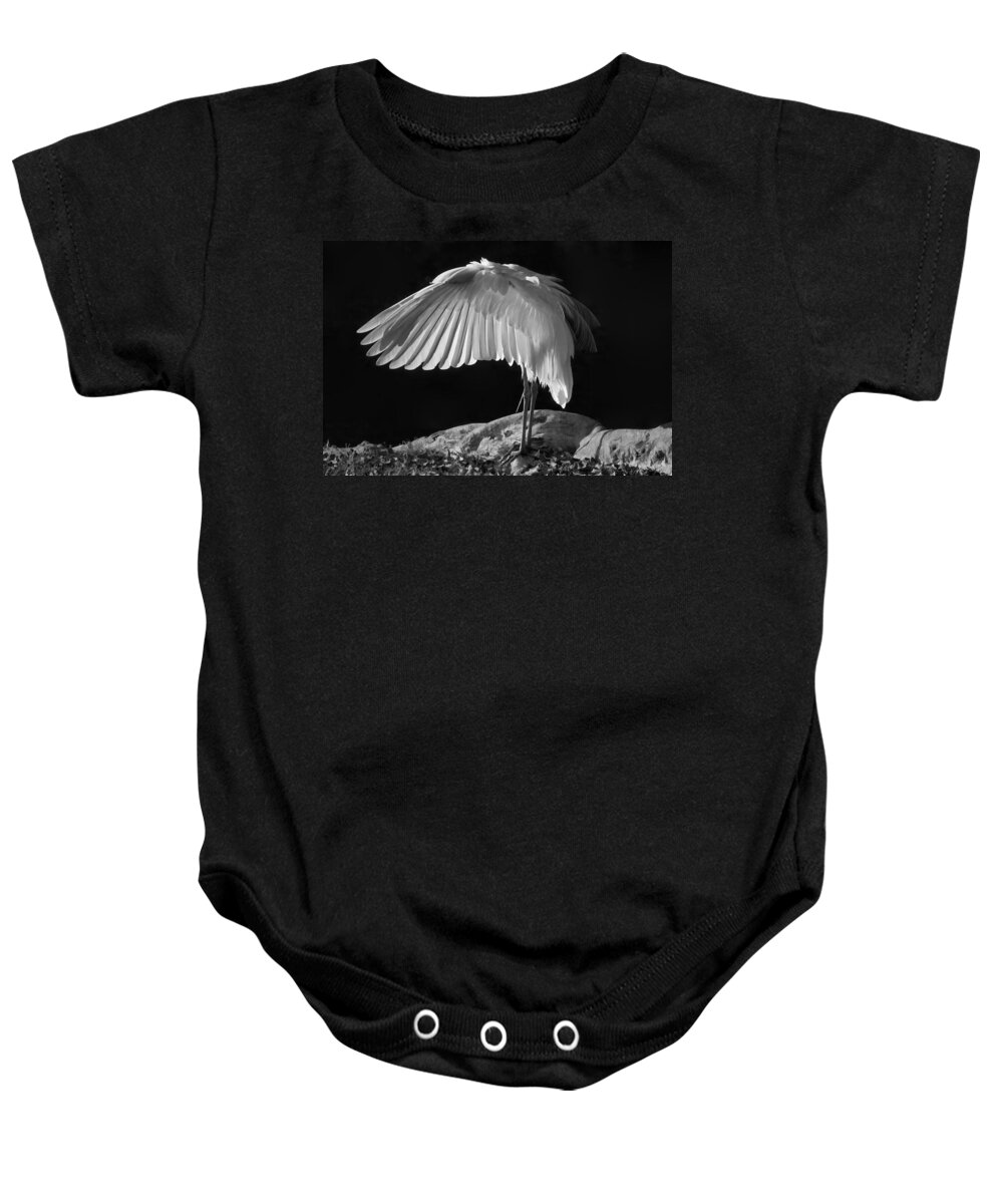 White Egret Baby Onesie featuring the photograph Preening Great Egret by H H Photography of Florida by HH Photography of Florida