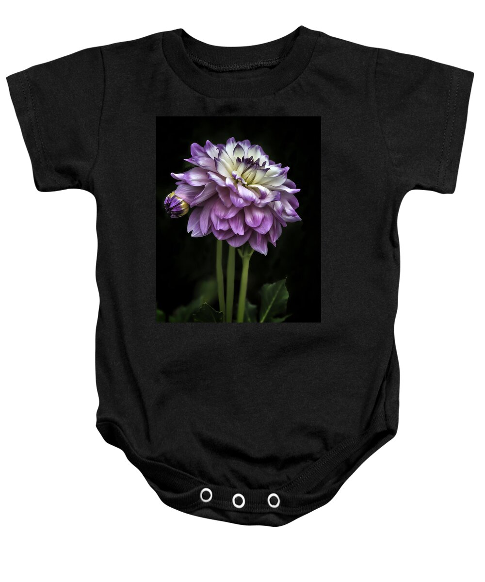 Purple Daze Baby Onesie featuring the photograph Purple Daze by Wes and Dotty Weber