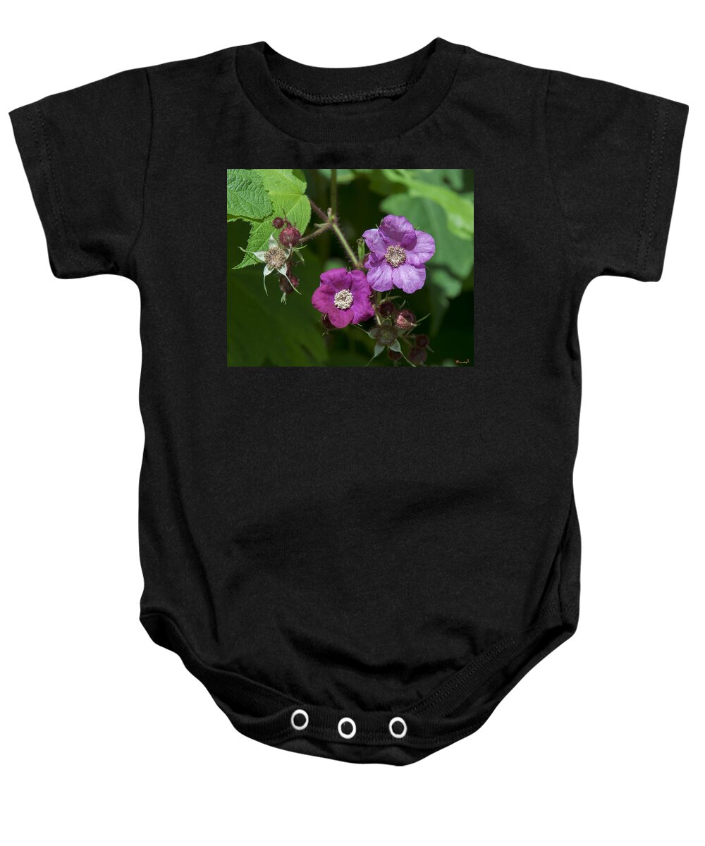 Nature Baby Onesie featuring the photograph Purple-flowering Raspberry DSMF0222 by Gerry Gantt