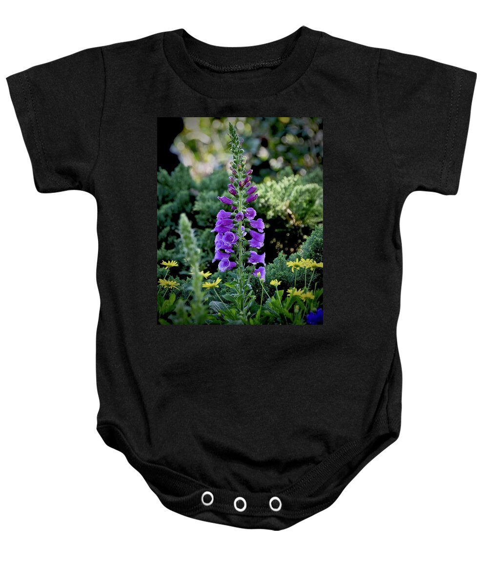 Purple Baby Onesie featuring the photograph Purple Foxglove Flowers by Carol Bradley