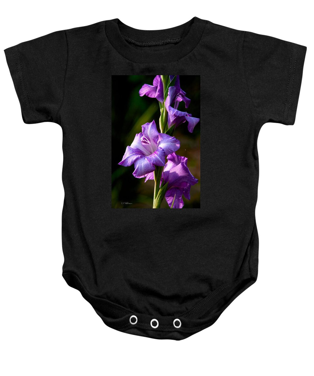 Gladiolas Baby Onesie featuring the photograph Purple Glads by Christopher Holmes