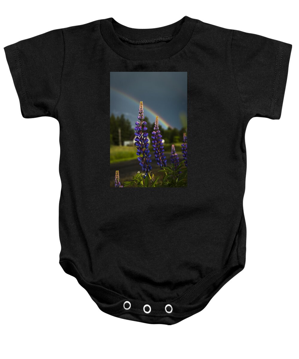 Flower Baby Onesie featuring the photograph Rainbow over Lupine by Robert Potts
