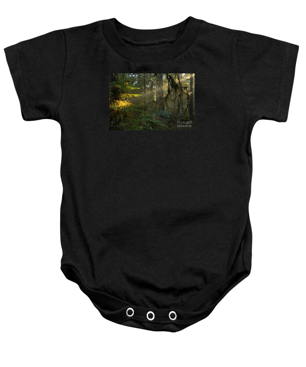 Pacific Rim National Park Baby Onesie featuring the photograph Rainforest Spotlight by Adam Jewell