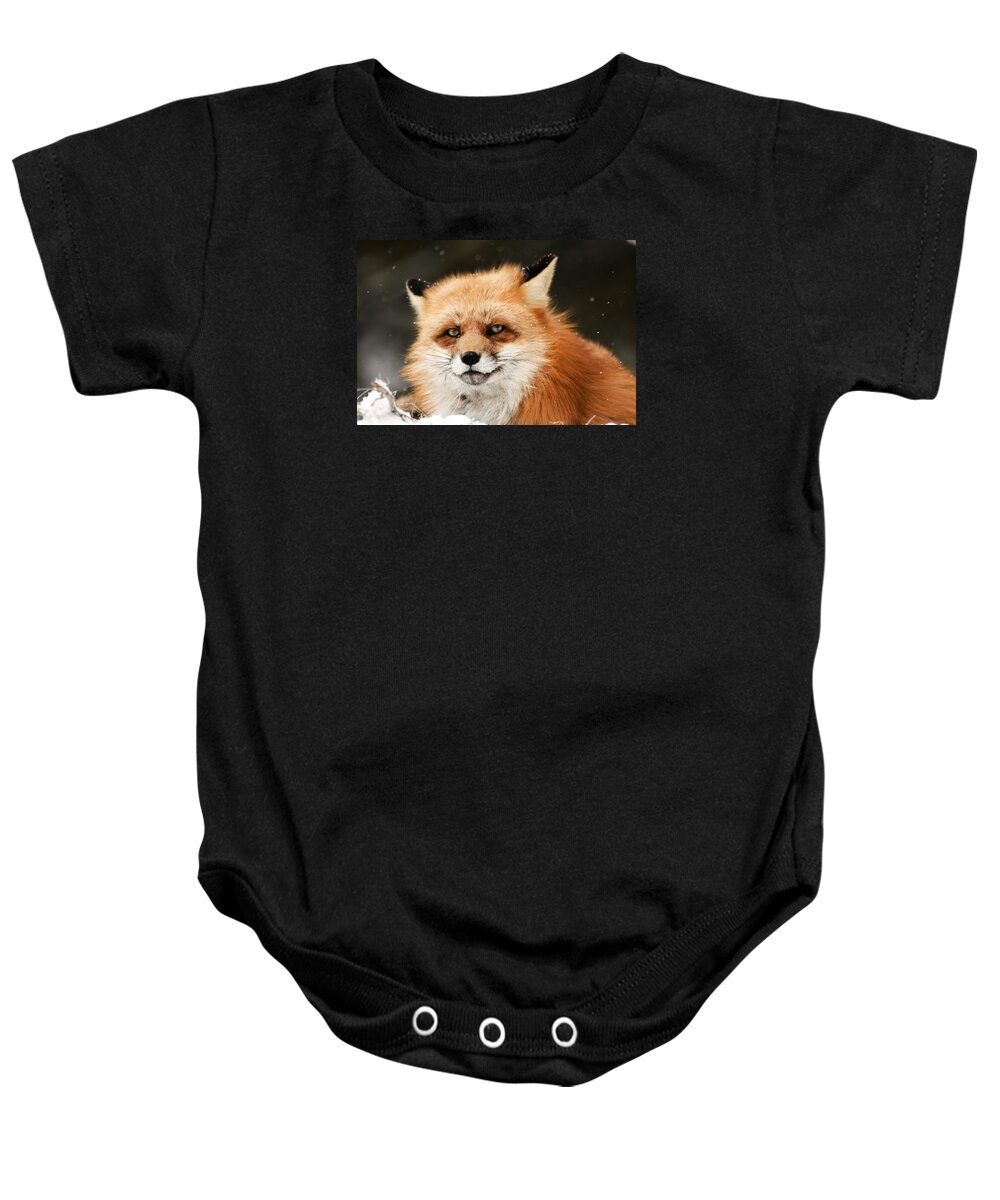 Fox Baby Onesie featuring the photograph Red Fox by Scott Read