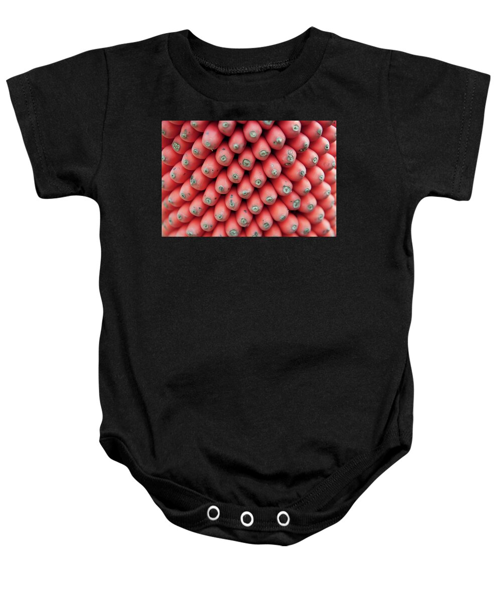 Eden Project Baby Onesie featuring the photograph Red Seed Pods by Helen Jackson