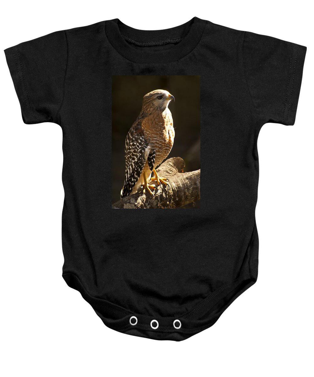 Red-shouldered Hawk Baby Onesie featuring the photograph Red-Shouldered Hawk by Carolyn Marshall