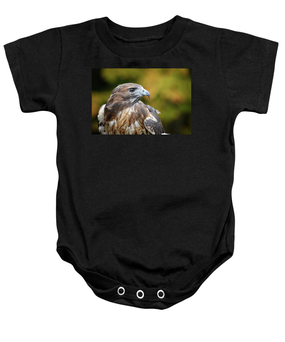 Red Tail Hawk Baby Onesie featuring the photograph Red Tail Hawk by Michael Hubley
