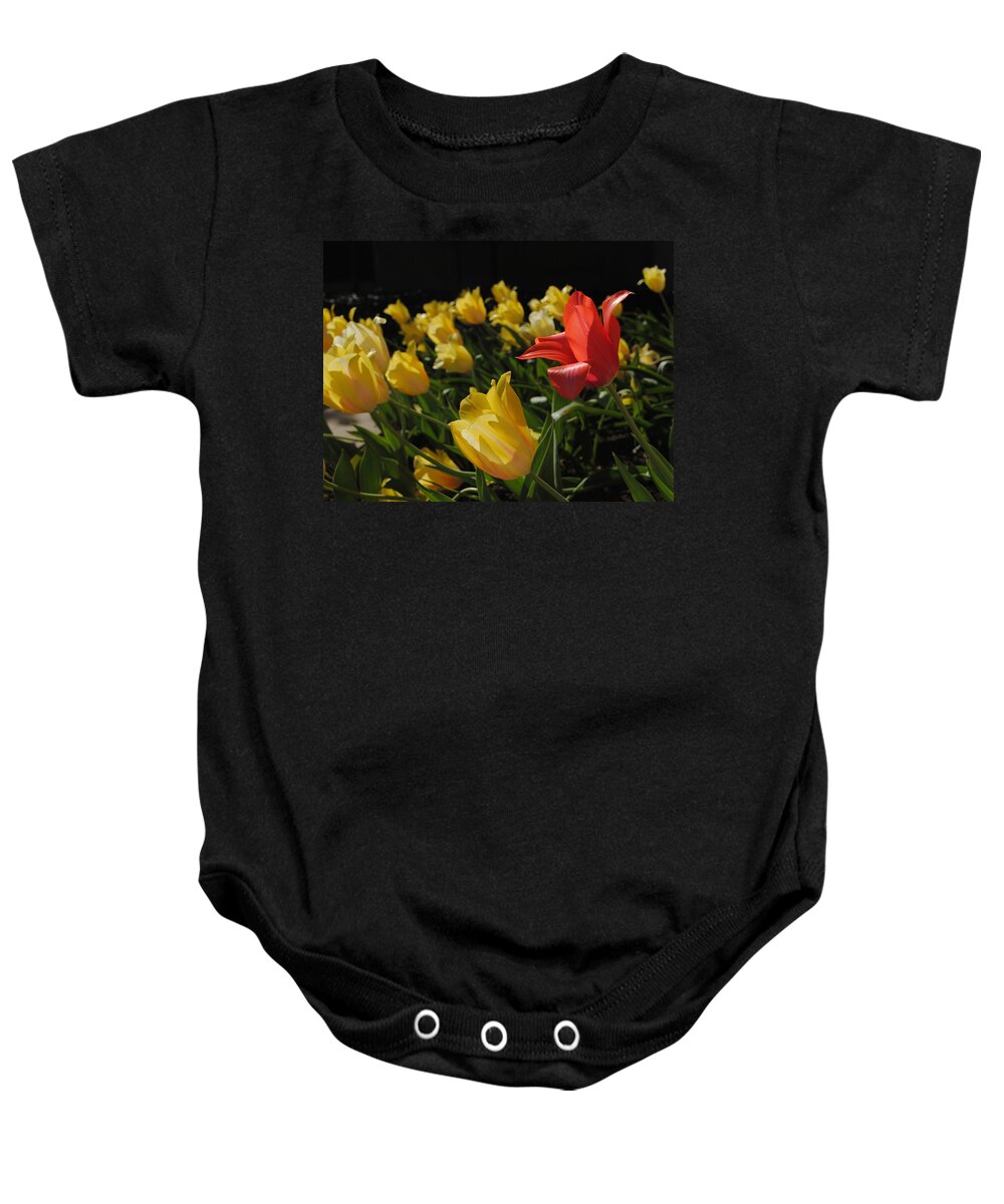 Red Baby Onesie featuring the photograph Red Tulip by Glory Ann Penington