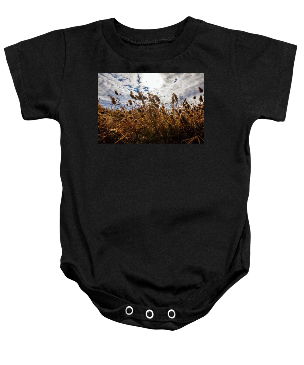 Reeds Baby Onesie featuring the photograph Reeds by Lilia S