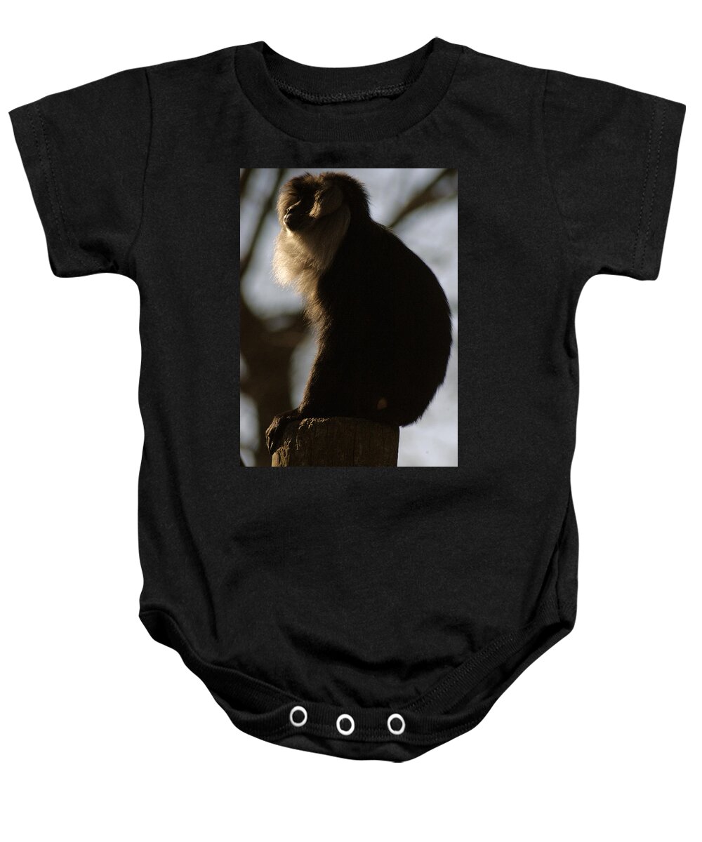 Memphis Zoo Baby Onesie featuring the photograph Rim Light by DArcy Evans