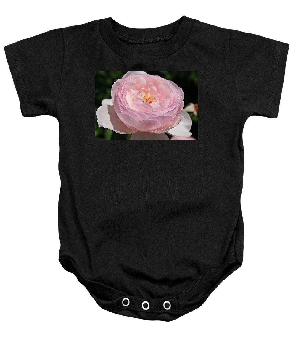 Rose Baby Onesie featuring the photograph Rose K by Joe Faherty