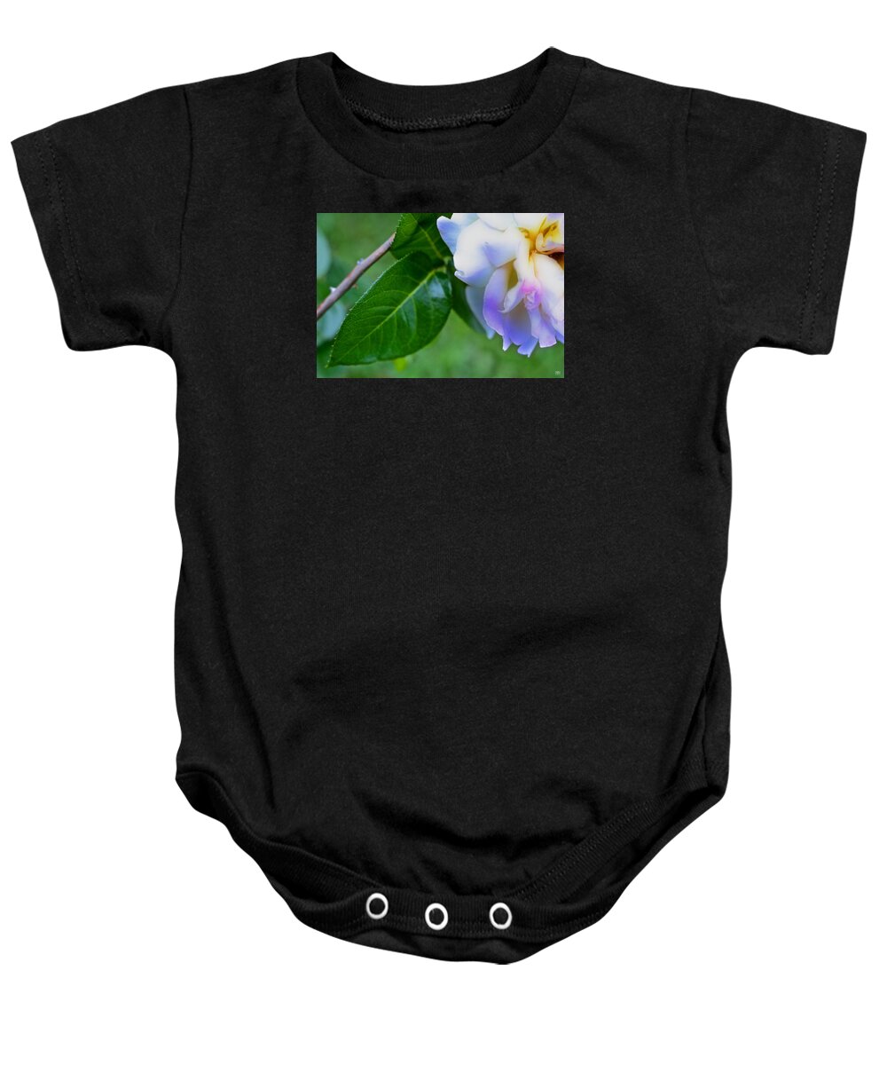Rose Baby Onesie featuring the photograph Rose Pedals by John Meader