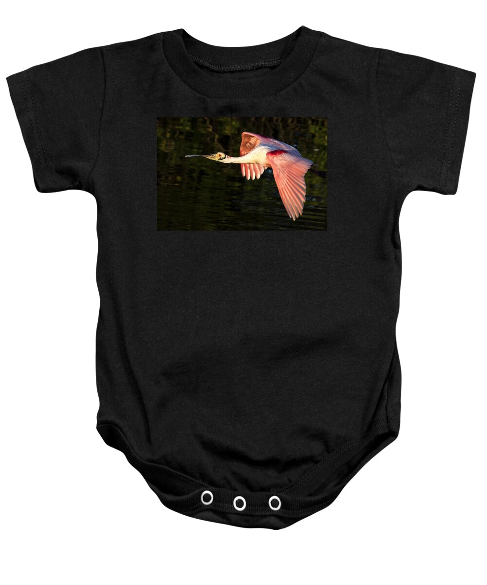 Roseate Baby Onesie featuring the photograph Roseate Spoonbill Flight by Jim Miller