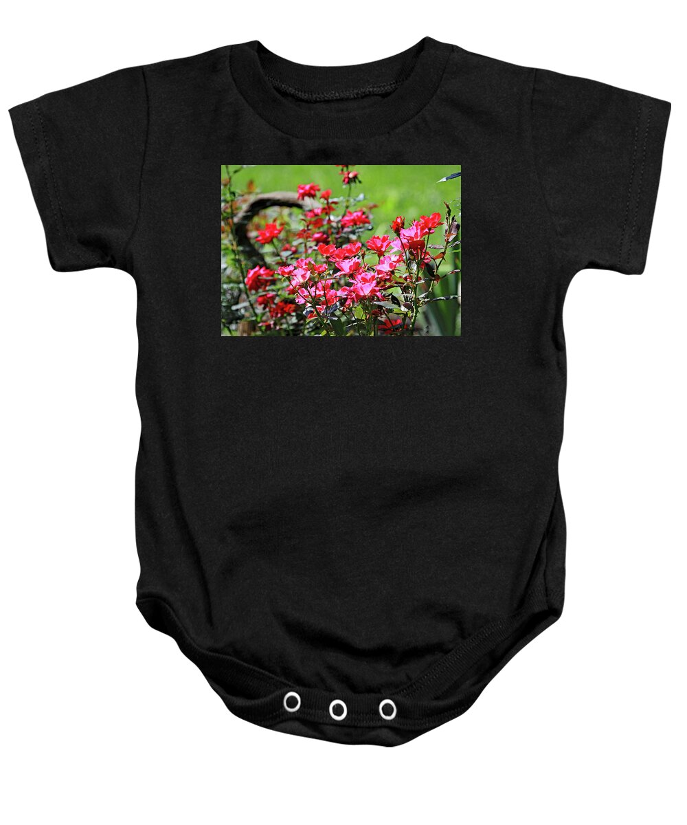 Roses Are Red Baby Onesie featuring the photograph Roses are Red by PJQandFriends Photography