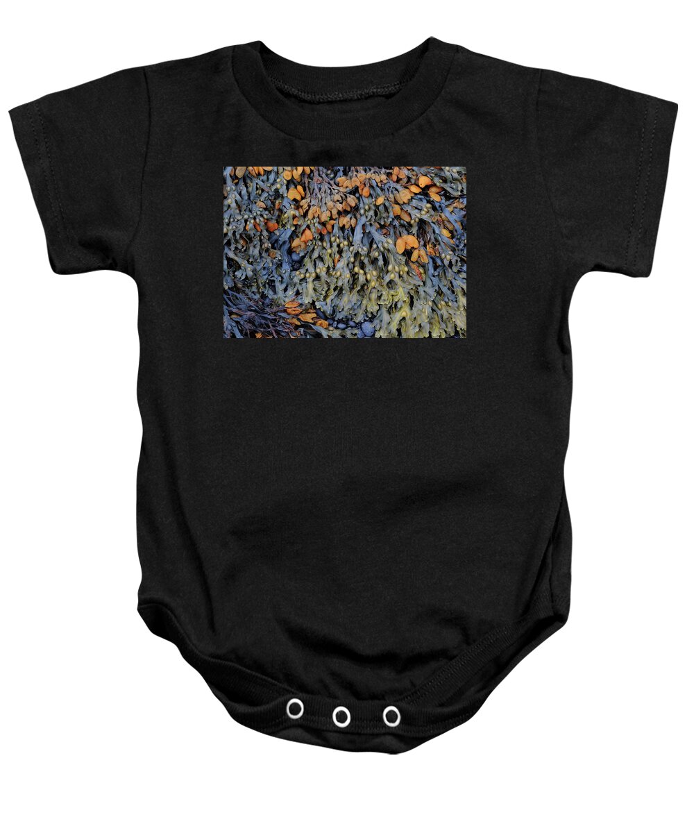 Seaweed Baby Onesie featuring the photograph Seaweed- Color by Bethany Dhunjisha