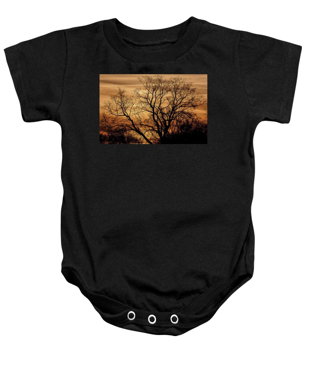 Landscape Baby Onesie featuring the photograph Sepia Sunset by Michael Nowotny