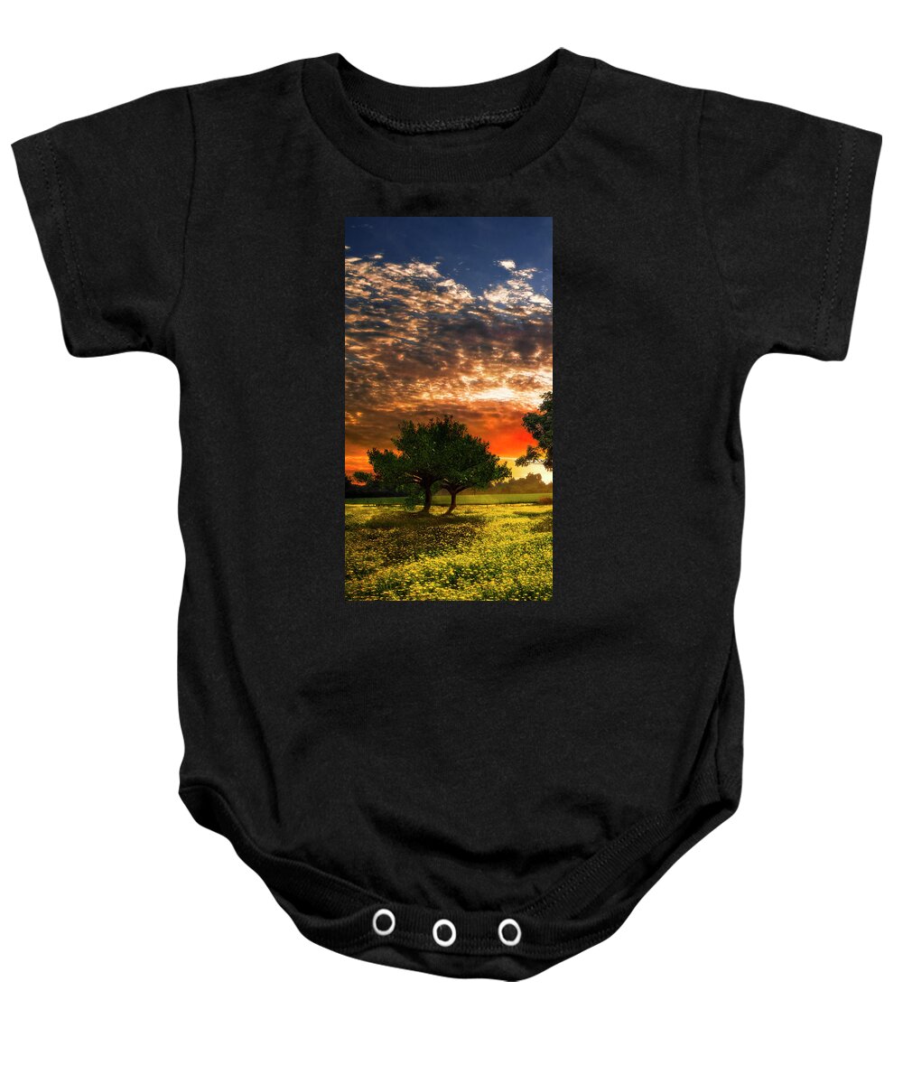 Barn Baby Onesie featuring the photograph Shadows in the Meadow Left of the Triple by Debra and Dave Vanderlaan